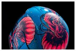 Icon Airform Jellies Helmet -Bell Sales Store icon airform jellies helmet blue 5