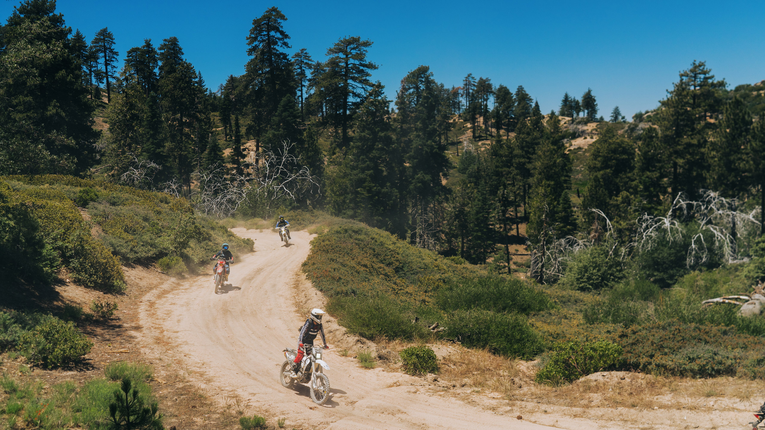 Default -Bell Sales Store 4